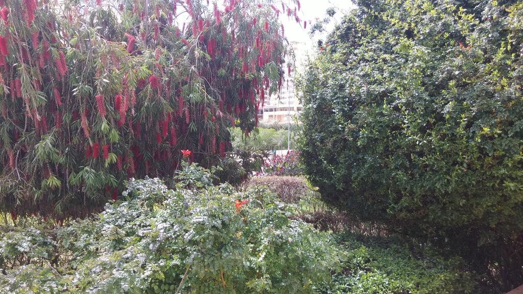פורטימאו Primavera Sun מראה חיצוני תמונה